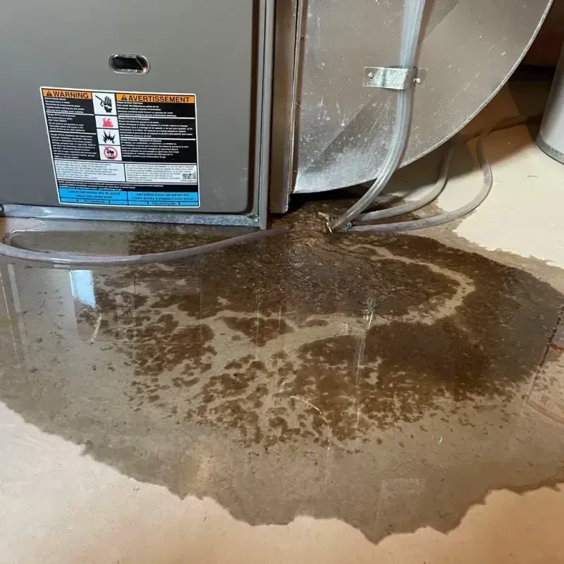 Appliance Leak Cleanup in Providence, RI